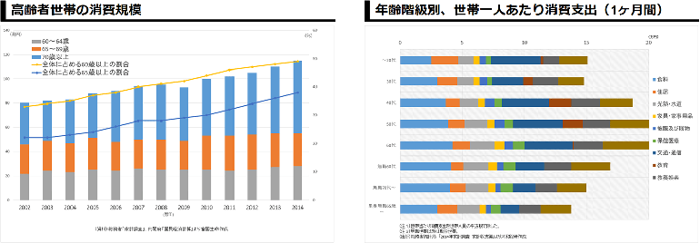 高齢者世帯の消費規模と世帯一人あたり消費支出グラフ